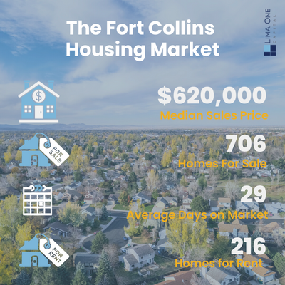 Fort Collins blog