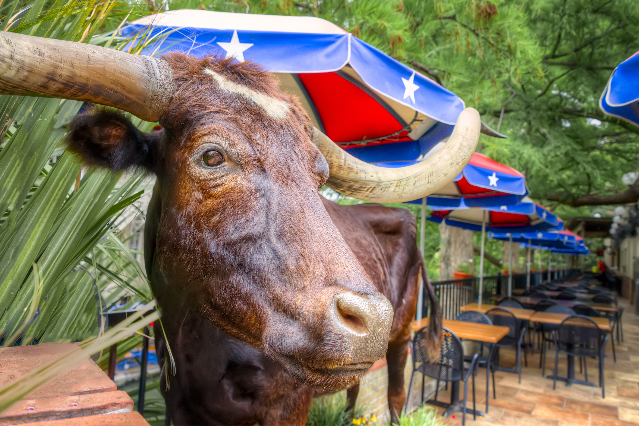 San Antonio Riverwalk Cafe