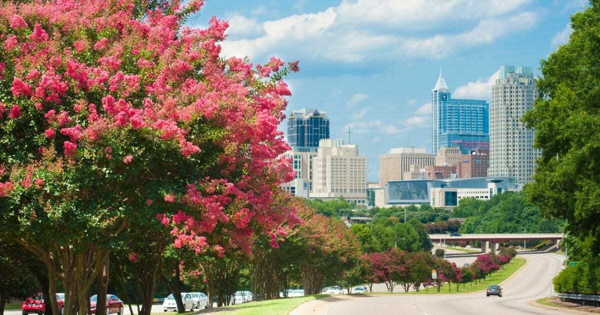 Beautiful park in Raleigh, NC